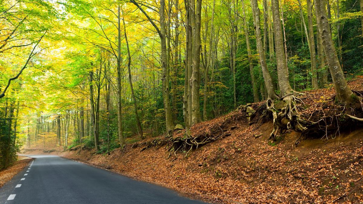 Montseny, Barcelona