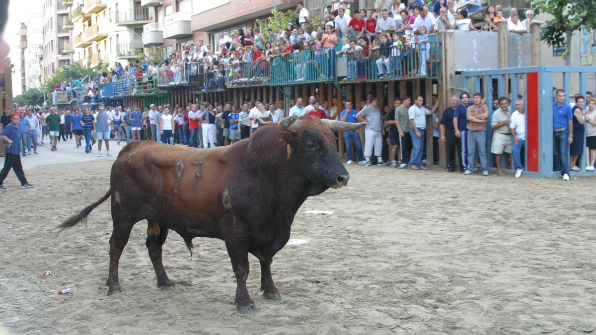 Los aficionados a los toros de la provincia volverán a congregarse un año más en Vila-real durante las fiestas patronales de la localidad.