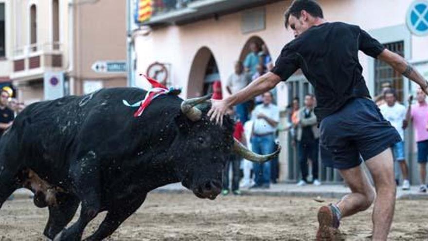 Los &#039;bous al carrer&#039; siguen al alza