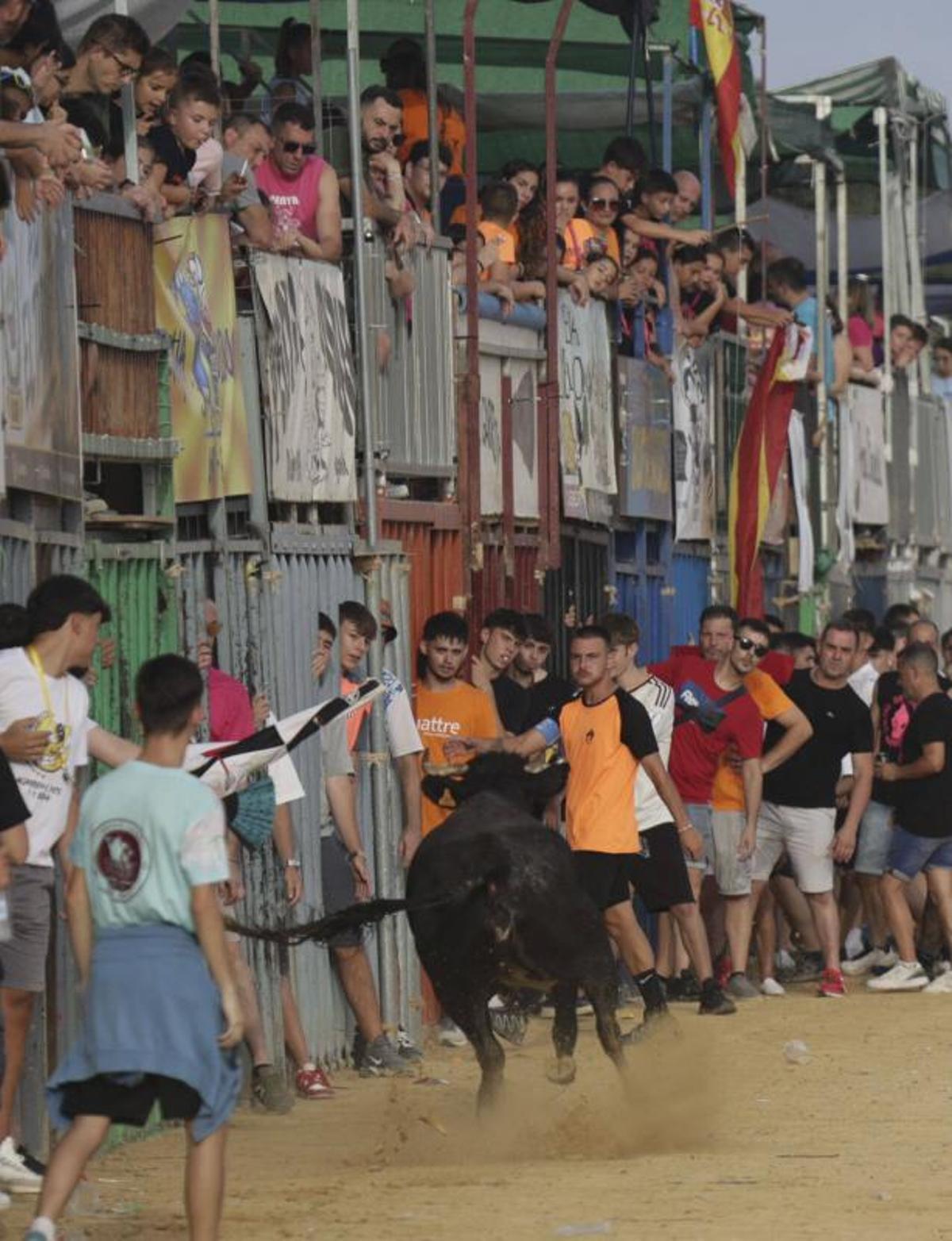 El recinto taurino donde se exhibe el cartel se llena de pequeños y mayores.