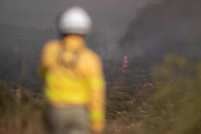 Imágenes del incendio declarado en El Tanque