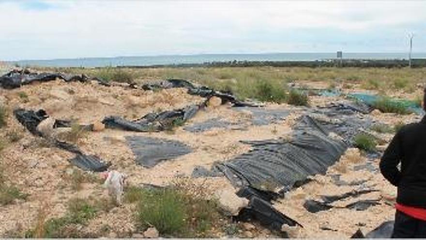 Imagen reciente del interior del yacimiento del poblado íbero de San Fulgencio.