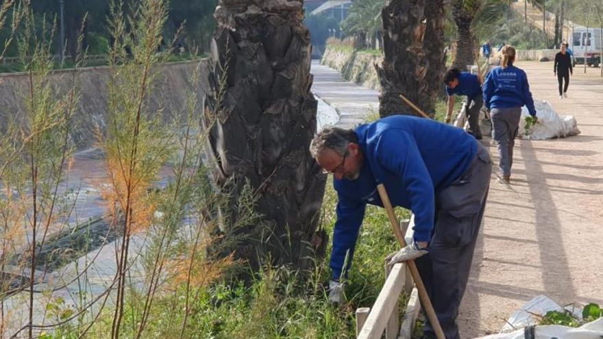 Elche invierte 1,5 millones en la regeneración de la ladera del río Vinalopó