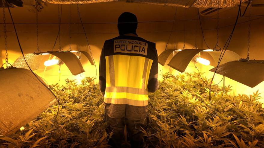Polizei nimmt Drogenclan &quot;Seco&quot; auf Mallorca hoch