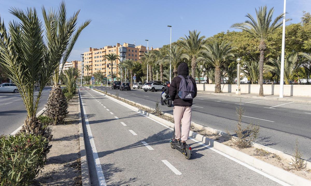 Carril bici en la Avenida de la Universidad que tendrá una barrera vegetal