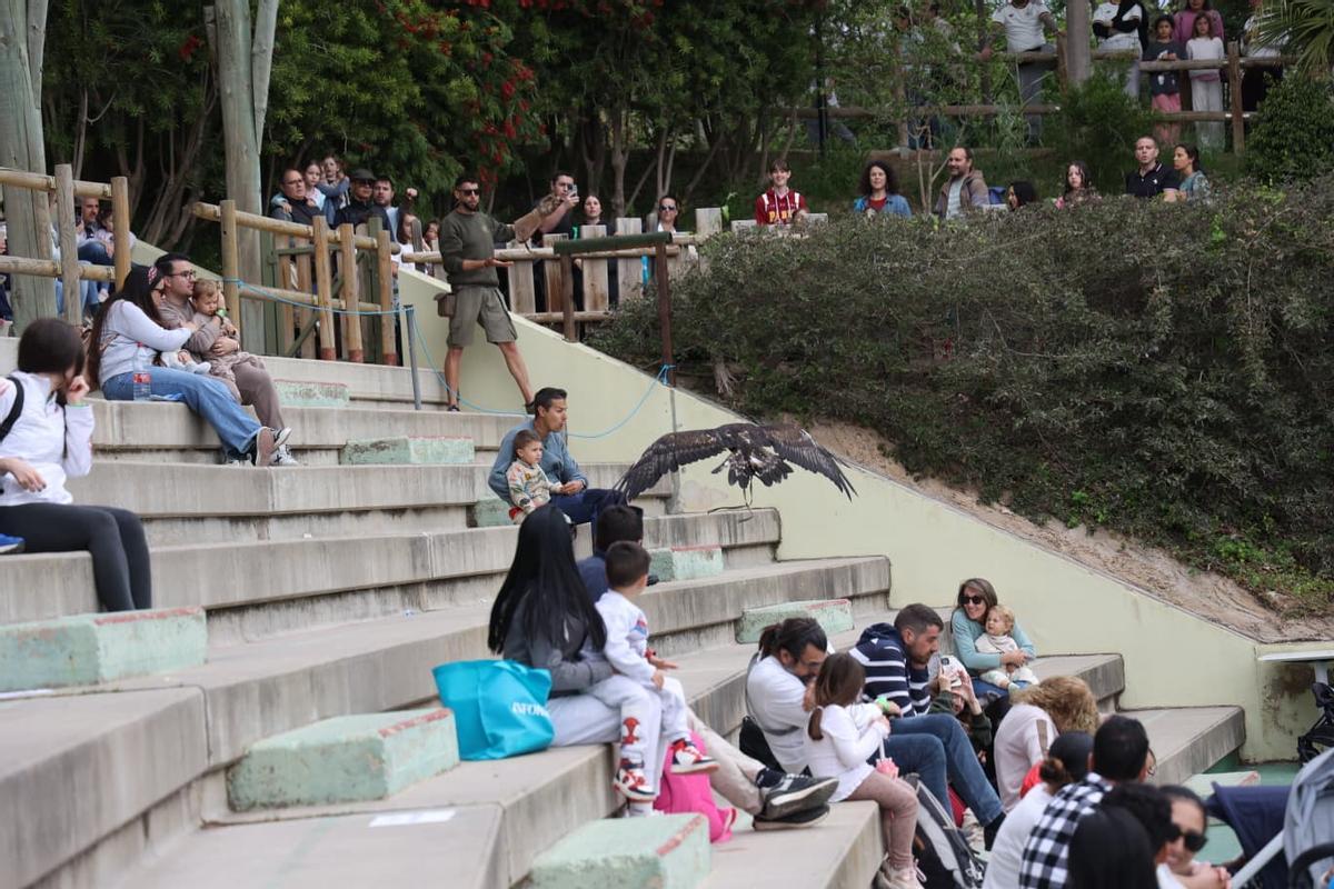El foro Creciendo Juntos en TERRA NATURA, en imágenes