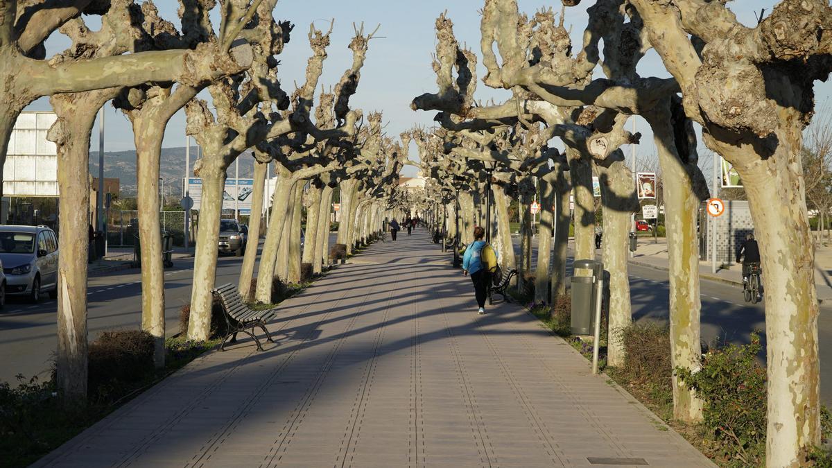 Imagen del andén central peatonal de la avenida de Lledó de Castelló.