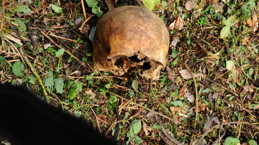 El Grumir de Bueu halla un cráneo humano durante unas tareas de desbroce