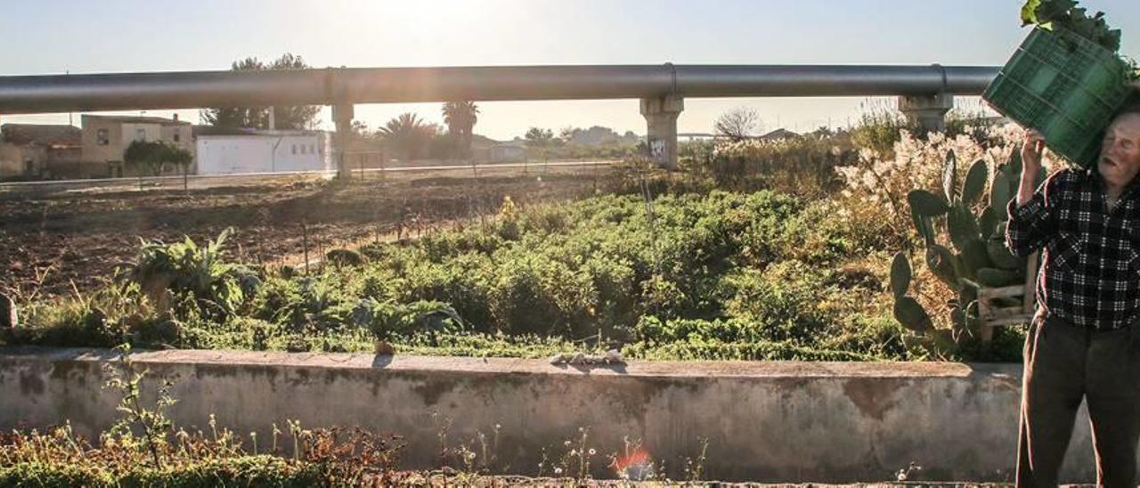 Un agricultor carga con un capazo de hortalizas. Al  fondo infraestructura del trasvase Tajo-Segura en la comarca de la Vega Baja.