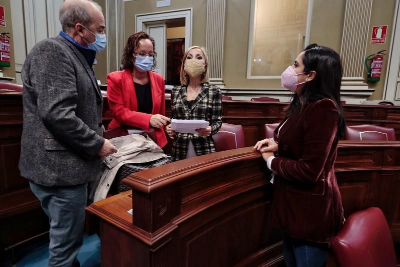 Pleno en el Parlamento de Canarias, 15/12/2021