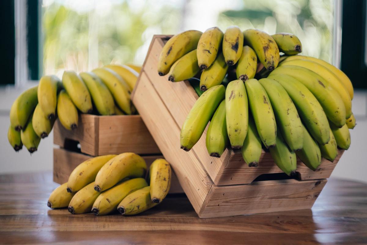 El plátano de Canarias es uno de los mejores del mundo.
