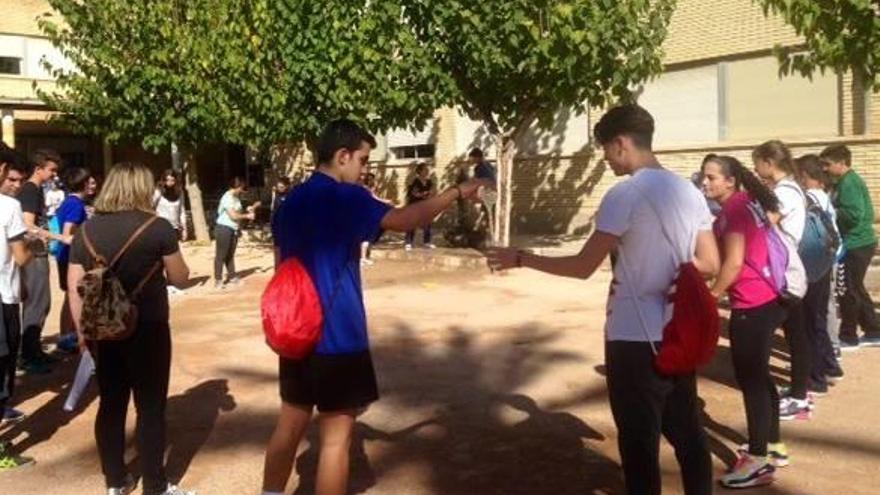 Pruebas Para Todos En El Instituto Informacion