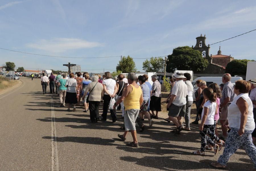 Fiesta de la Trashumancia en San Vitero