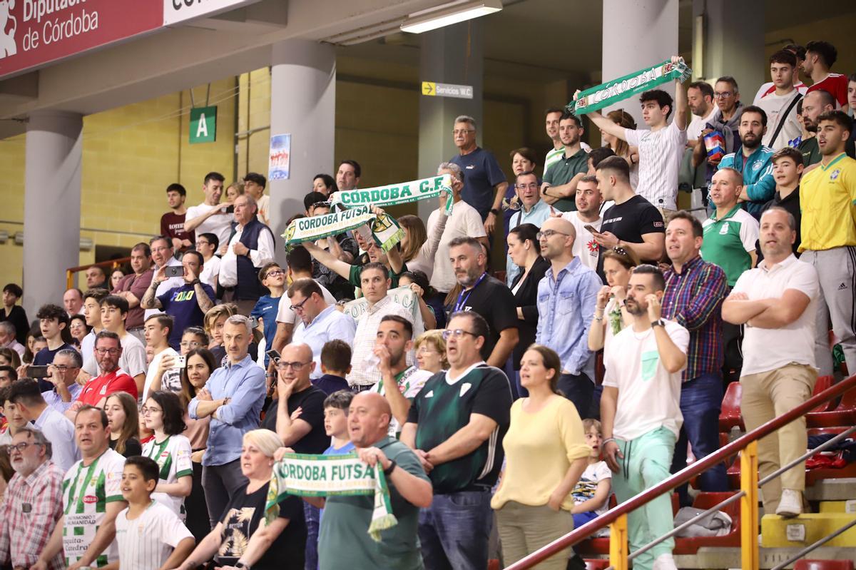 Córdoba Futsal-Jimbee Cartagena: el partido de Vista Alegre en imágenes Córdoba Futsal-Jimbee Cartagena: el partido de Vista Alegre en imágenes