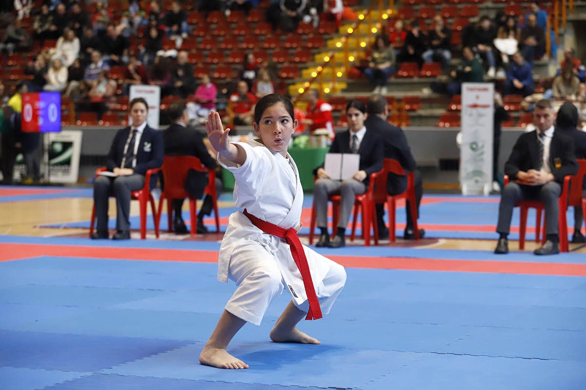 El Campeonato de Andalucía infantil de kárate y de parakárete, en imagenes
