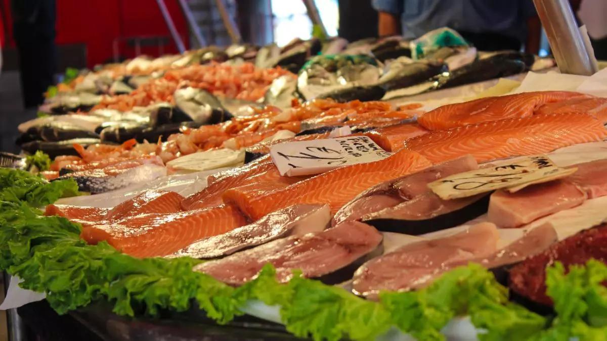 Los mejores pescados para incorporar en la dieta de tus hijos