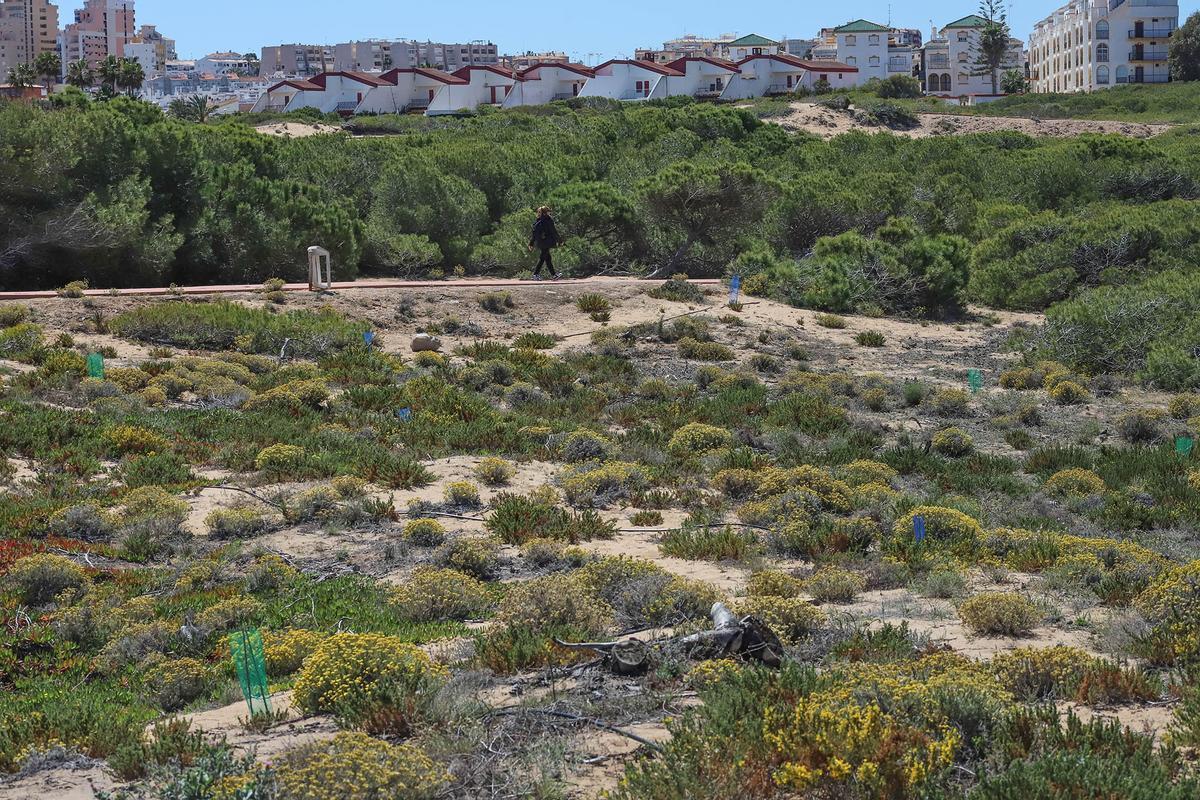 Uno de los senderos pavimentados del Parque Natural Municipal del Molino del Agua que une la zona de pinada con la playa