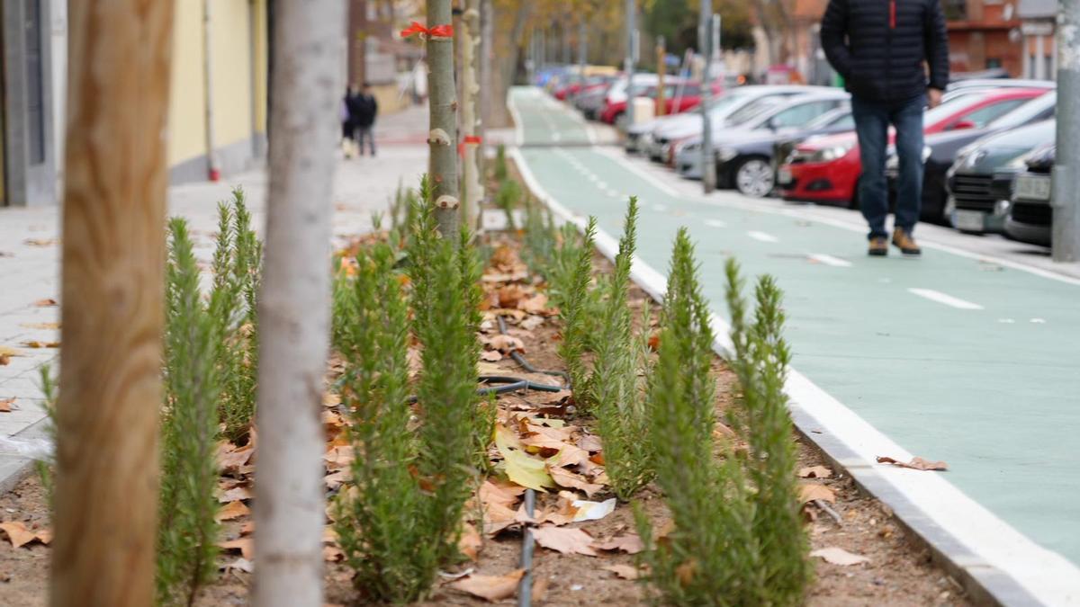 Fin de las obras en la calle Doctor Fleming de Zamora.