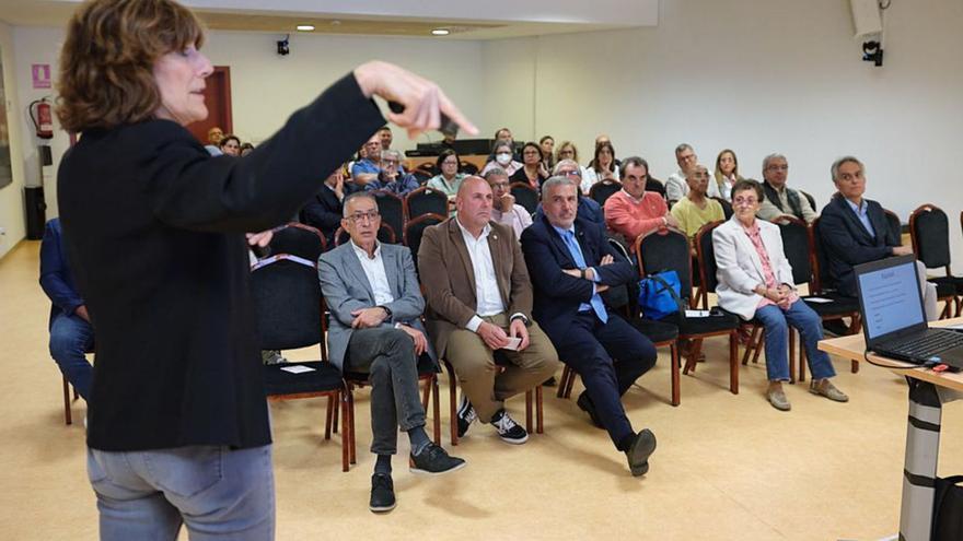 La catedrática Beatriz González durante su ponencia, ayer. | | LP/DLP