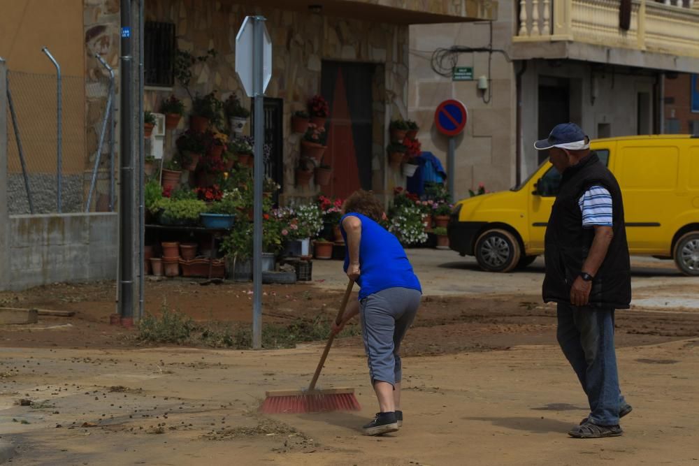 Las imágenes de Roales del Pan, el día después de la tormenta