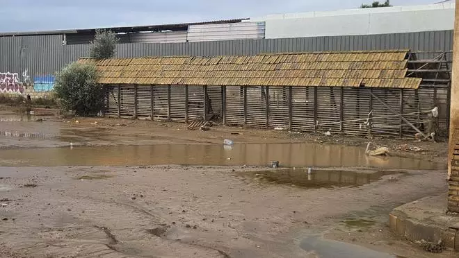 La "cebera" resiste el envite del agua