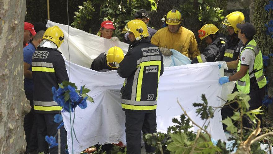 Trece muertos al caerles encima un árbol durante una romería en Madeira