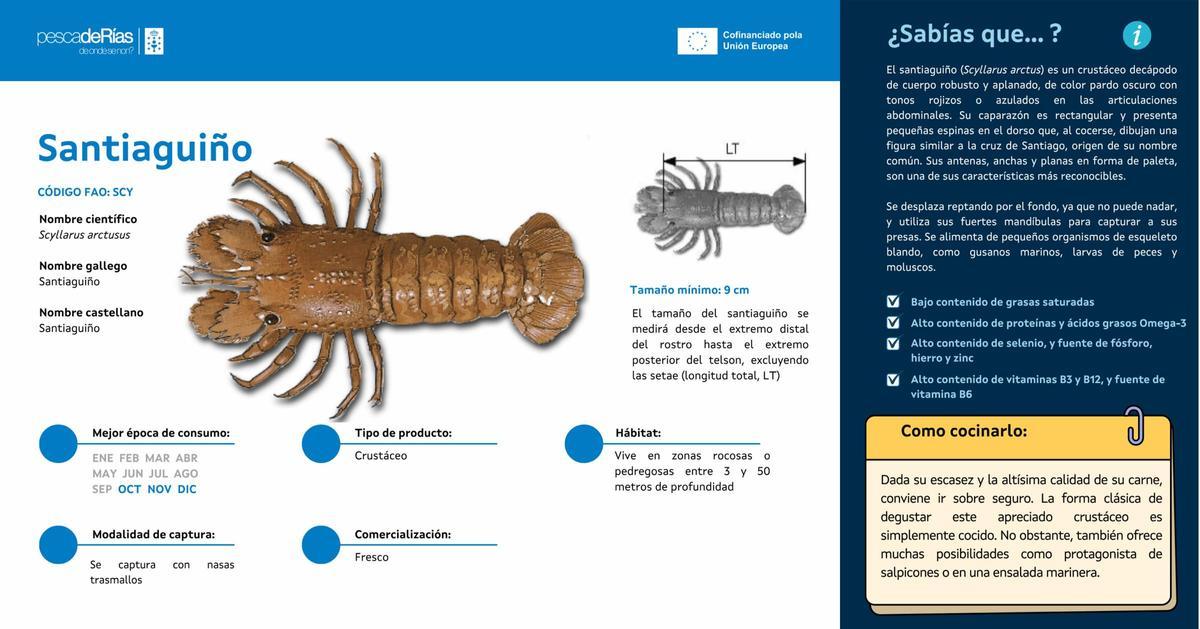 Así es el santiaguiño.