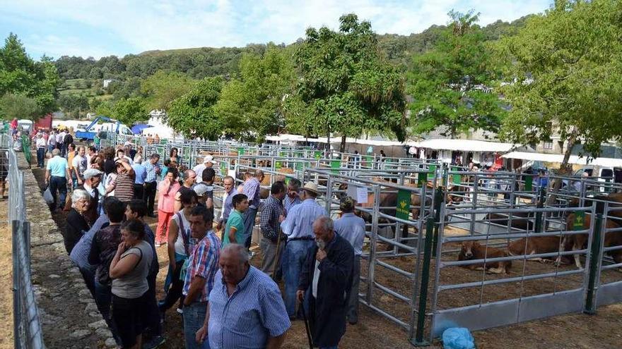 Vecinos y visitantes en una feria de ganado en Porto.