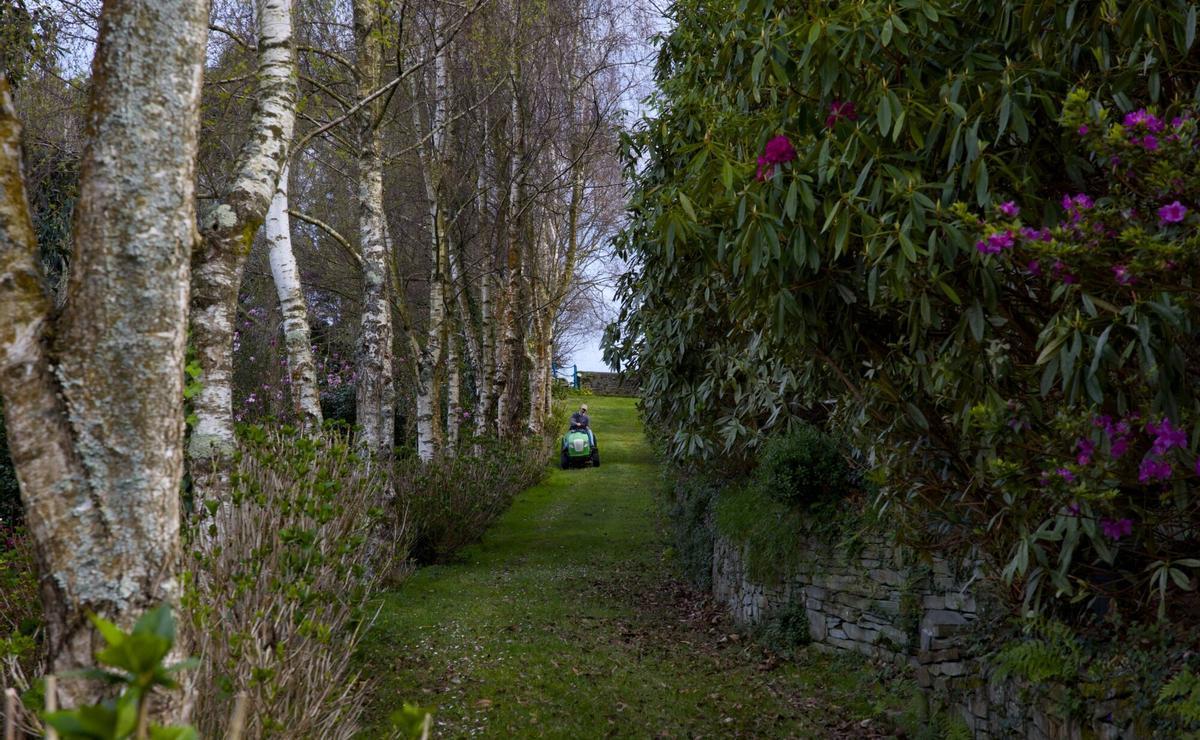 EN IMÁGENES: Así es el bosque-jardín de Luarca EN IMÁGENES: Así es el bosque-jardín de Luarca