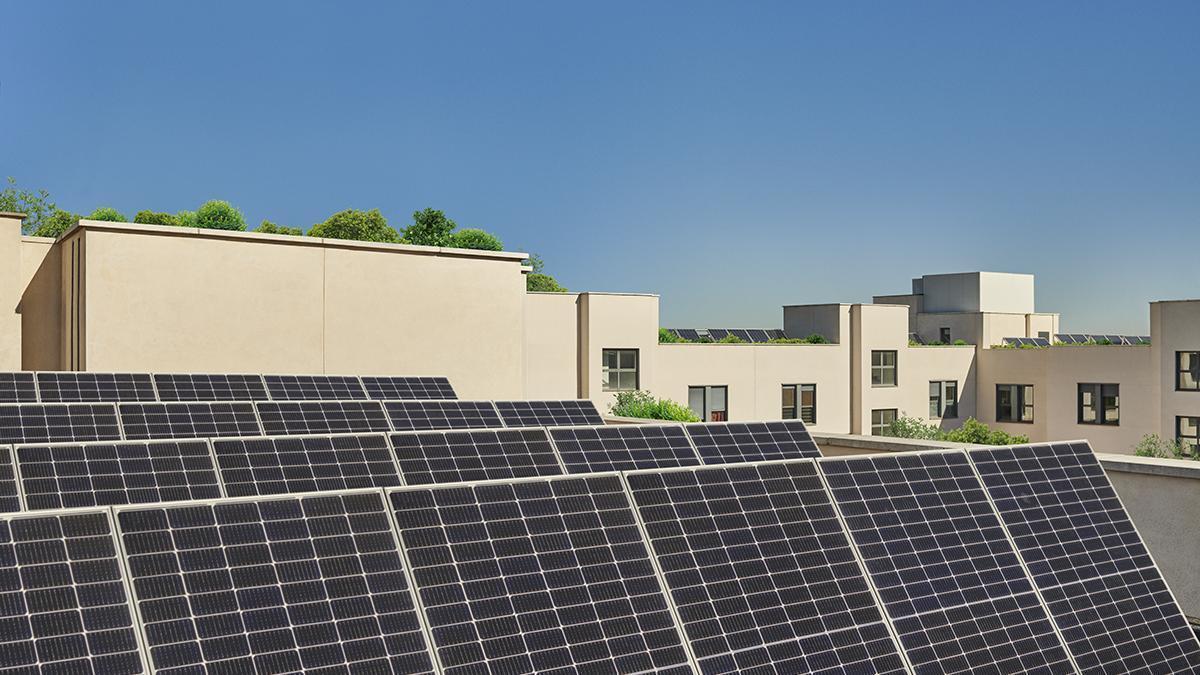 Paneles solares.