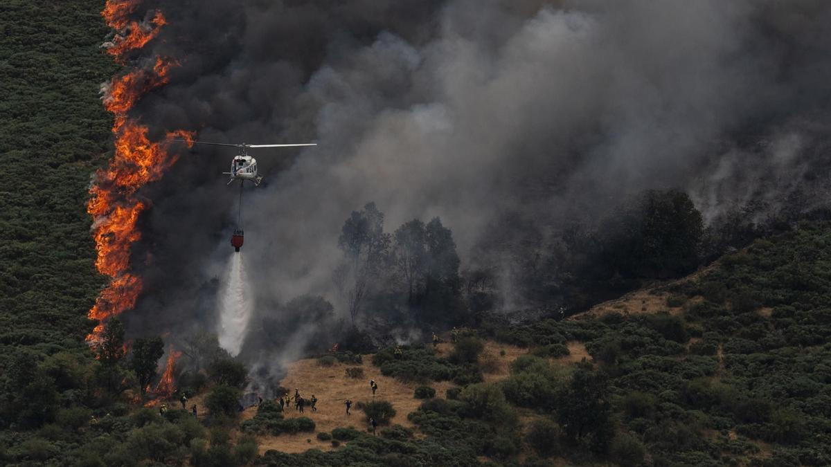 Día 9. A pesar de que el viento dificulta los trabajos, la situación mejoró en Hervás y se ralentizó en el Jerte.