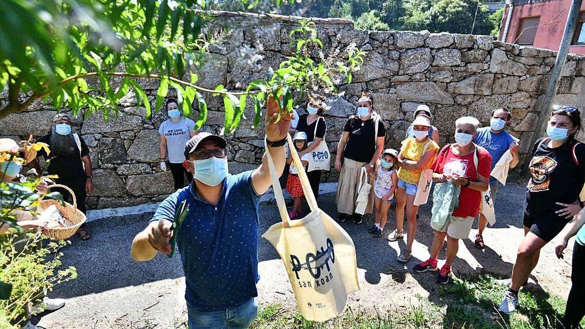 Participantes en la recogida de hierbas de San Xoán, celebrada ayer.