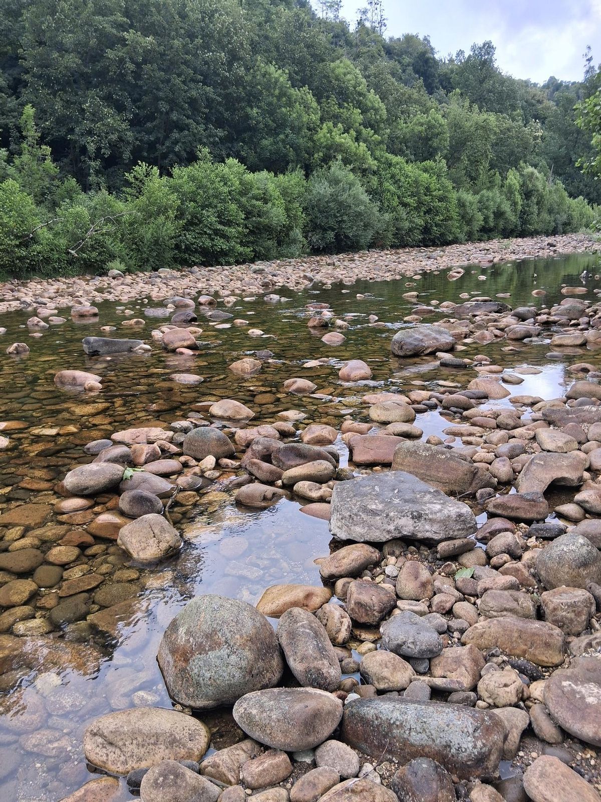 El cauce del río Nalón el pasado 2 de julio