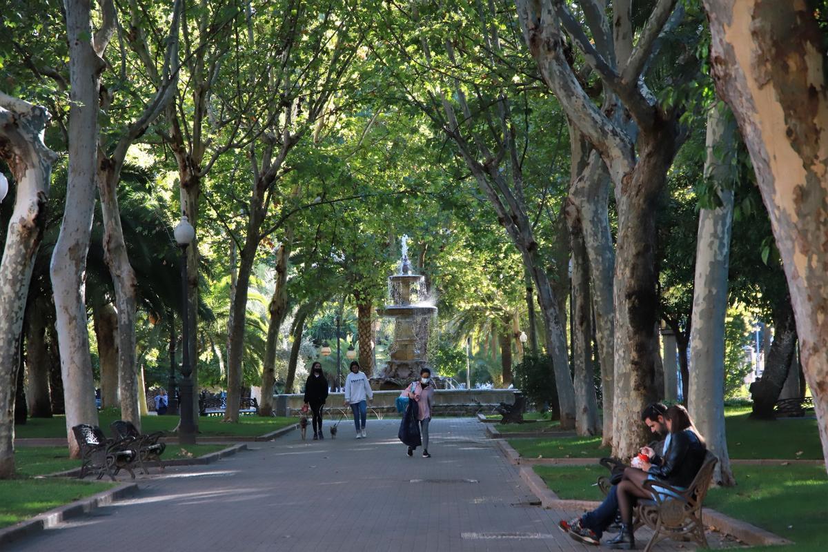Arboleda del parque de Colón, en Córdoba.