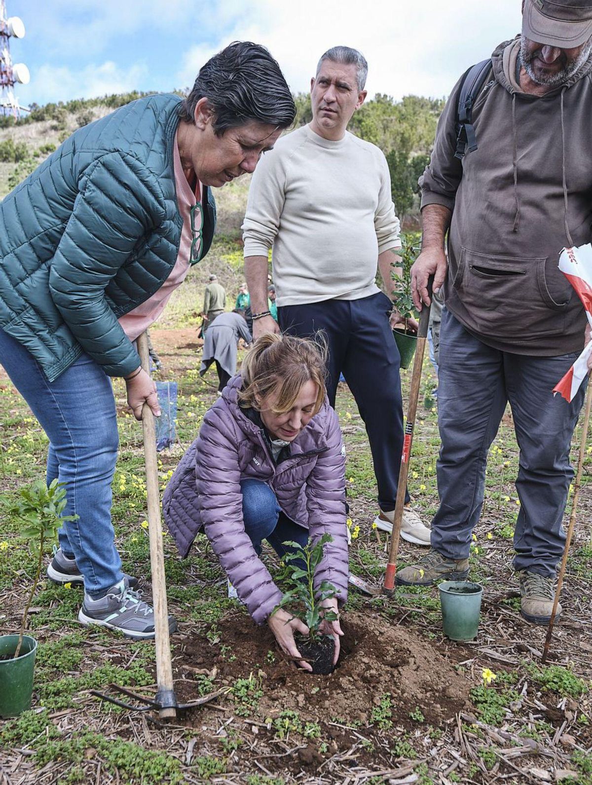 The Fagundo farm will become a large green lung and nature classroom in Tenerife The Fagundo farm will become a large green lung and nature classroom in Tenerife