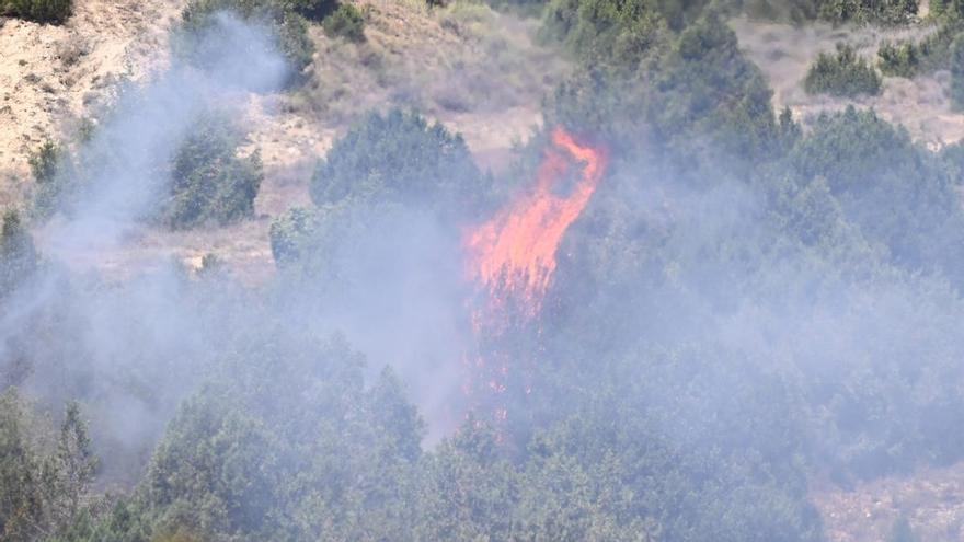 Al menos 200 bomberos combaten un incendio forestal de grandes proporciones en el sur de Francia