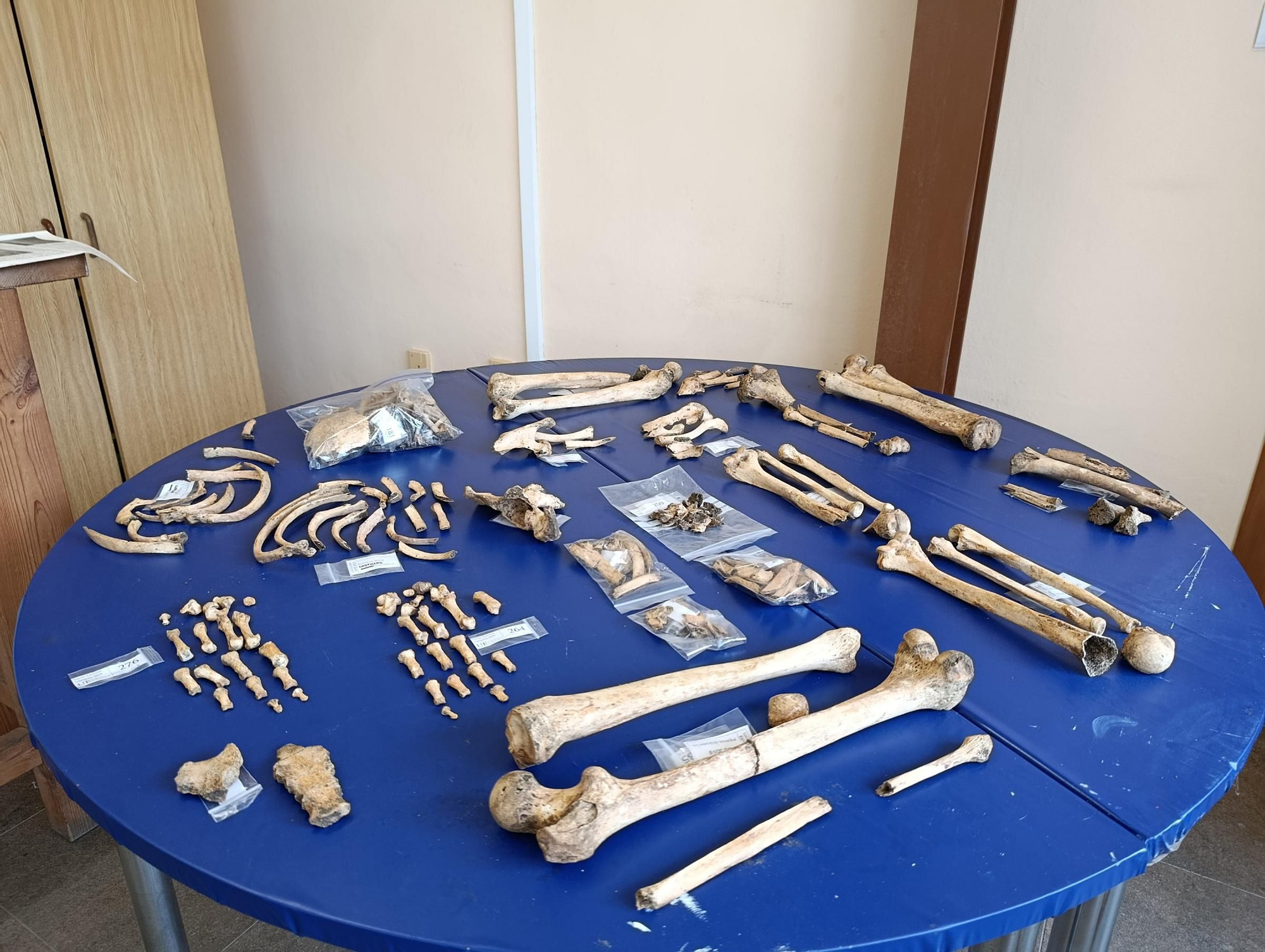 Así se trabaja en el laboratorio de "Lucus Asturum" en Villabona
