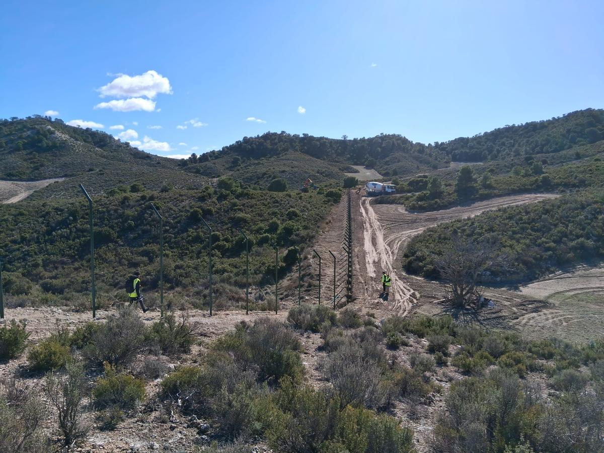 Trabajos en la finca Acampo Armijo en Torrecilla de Valmadrid para la llegada del lince.