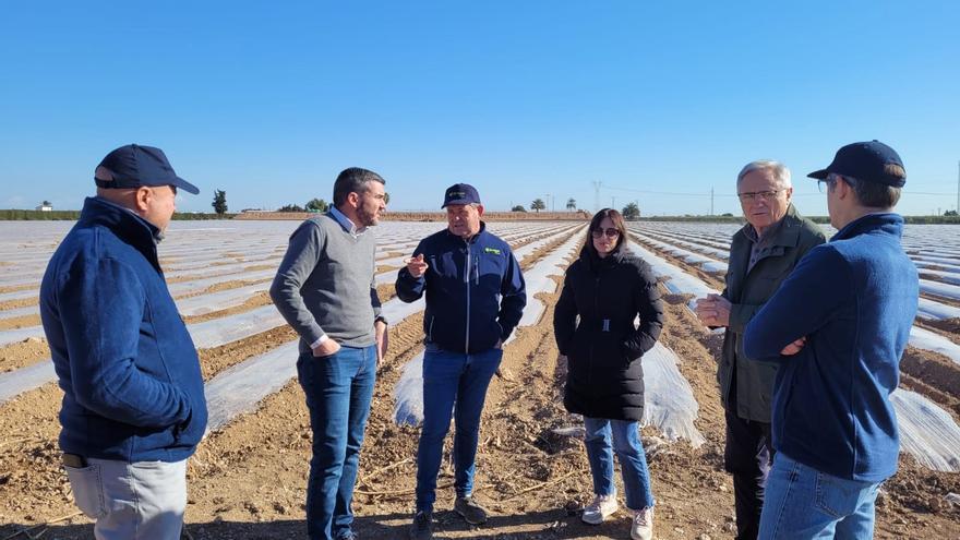 El consejero Antonio Luengo, durante su visita a la finca de melones de uno de los socios de la Cooperativa Gregal