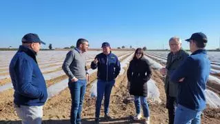 Murcia exporta la mitad de los melones de toda España