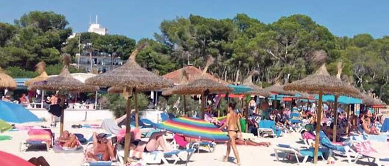 Imagen tomada por agentes de Medio Ambiente en la playa de ses Fonts de n´Alis, la del exceso de hamacas en Mondragó.