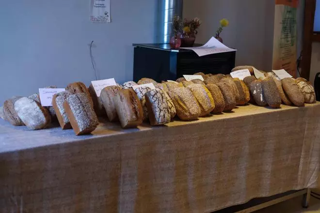 GALERÍA |  La Feria “Soluciones Transfronterizas Innovadoras para un sector Agroalimentario más Circular y Sostenible” en La Harinera de Zamora