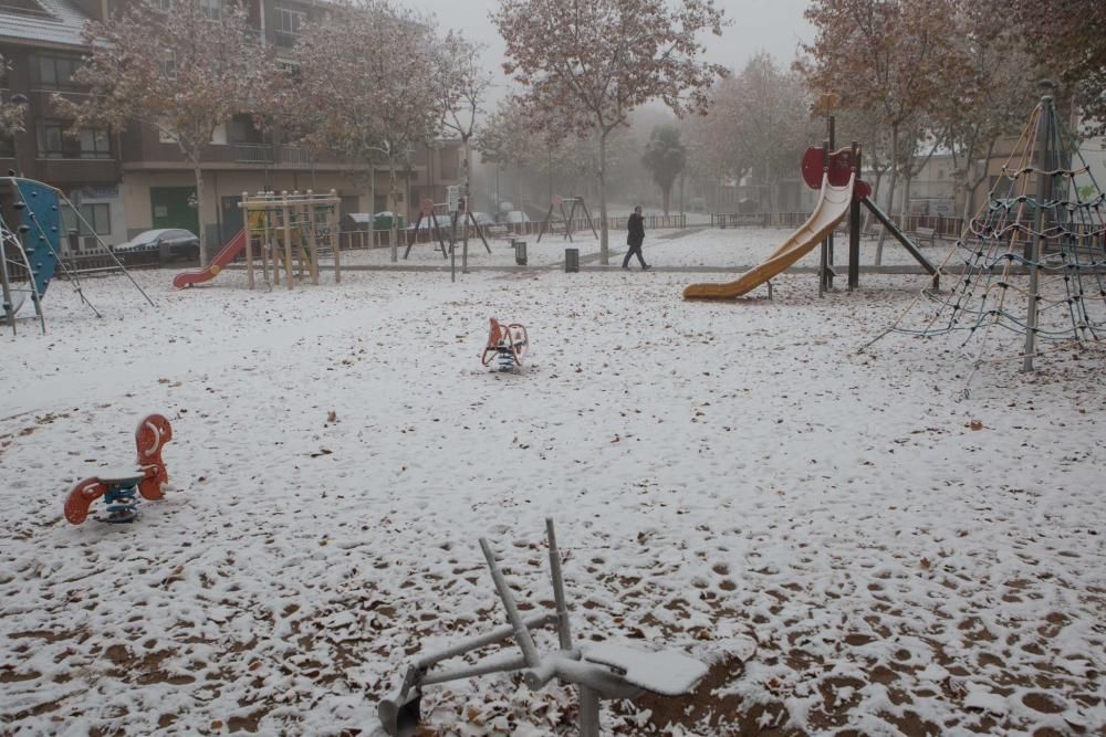 Zamora, cubierta de blanco por la cencellada