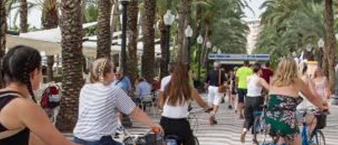 Un grupo de cicloturistas, pedaleando ayer por el paseo de la Explanada de Alicante.