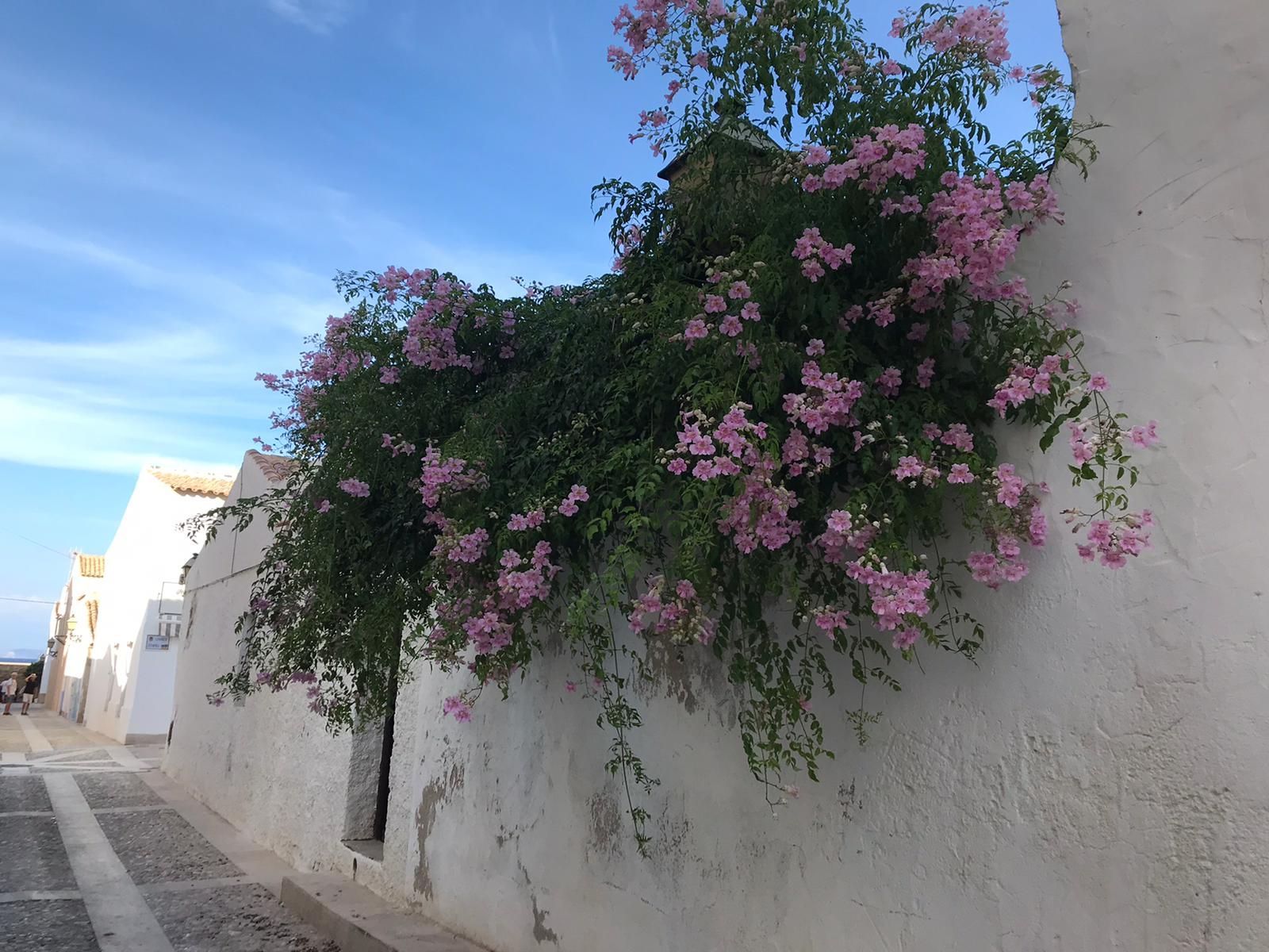 Un paseo por Tabarca, la esencia del Mediterráneo en frasco pequeño