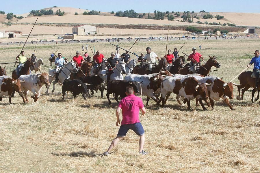 Fiestas en Zamora: Segudos espantes de Fuentesaúco