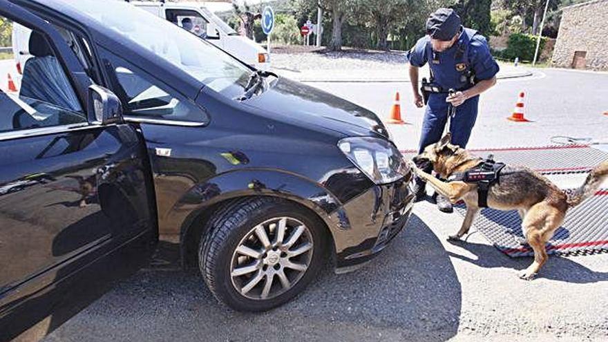 Els Mossos cerquen droga a l&#039;interior d&#039;un cotxe amb l&#039;ajuda d&#039;un gos.