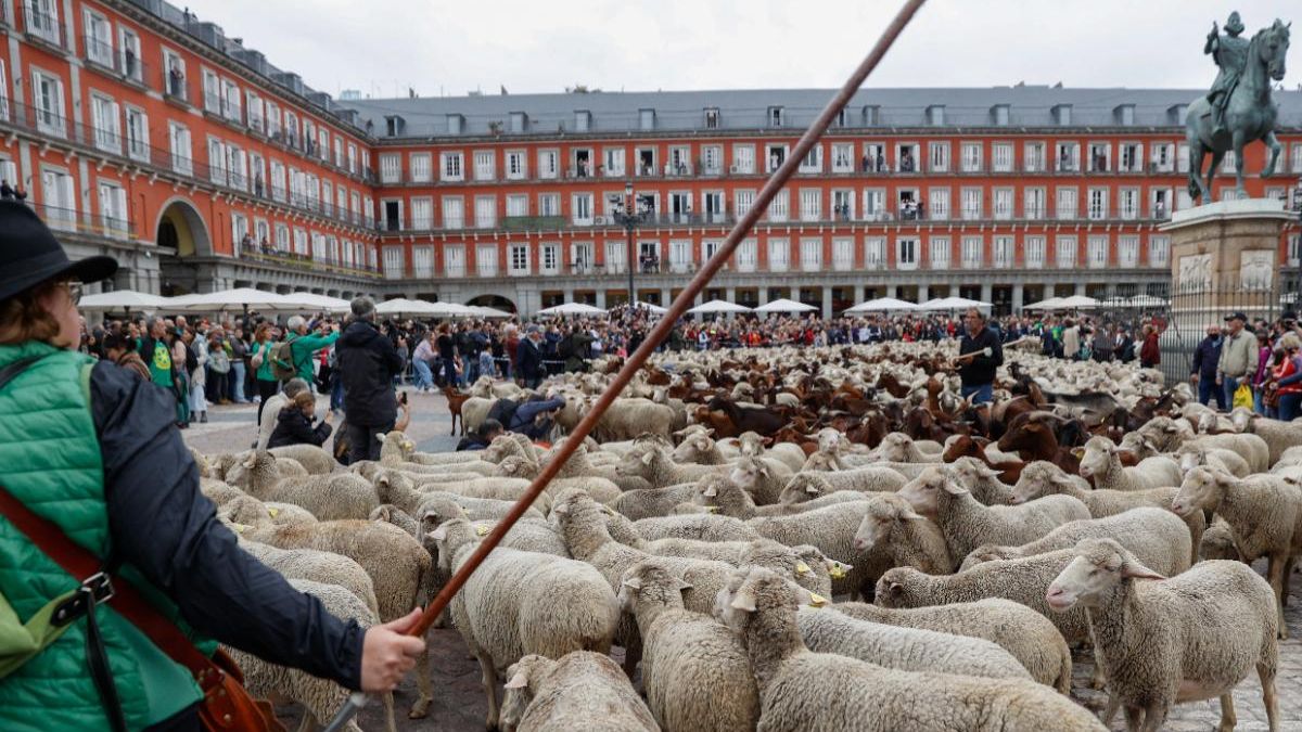 Cortes de tráfico previstos en Madrid por la Fiesta de la Trashumancia 2025