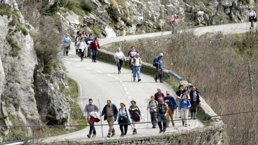 Peregrinos de la asociación de Amigos del Camino de Santiago de Álava, recorriendo un tramo del Camino de las Asturias. | Fernando Rodríguez