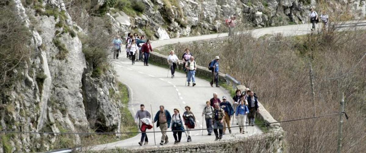Peregrinos de la asociación de Amigos del Camino de Santiago de Álava, recorriendo un tramo del Camino de las Asturias. | Fernando Rodríguez